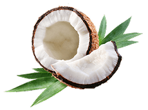 COCONUT OIL